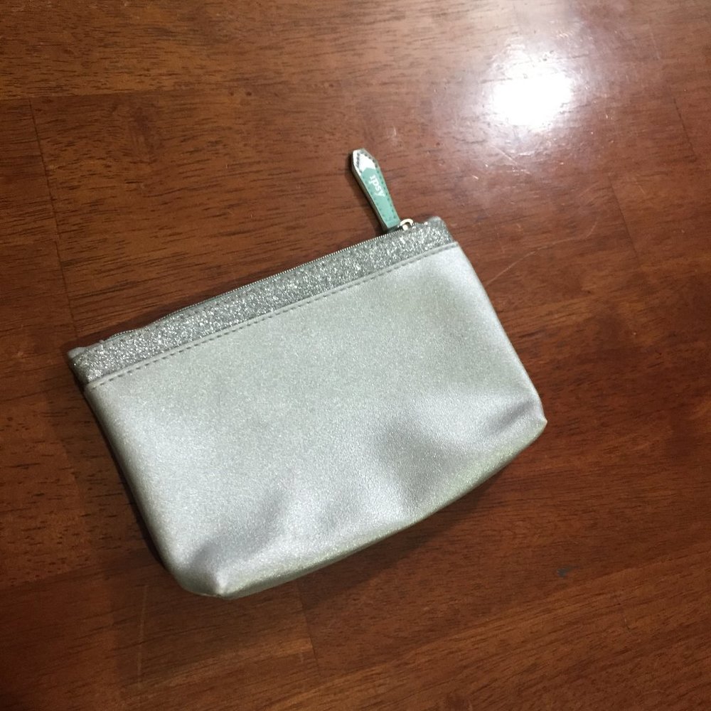 Silver Mini Bagg